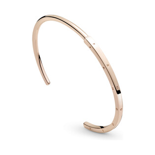 Bransoleta PANDORA ROSE bangle  PE 589493C00