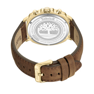 Zegarek Timberland Williston TDWGF0042003 - JubilerSezam.pl