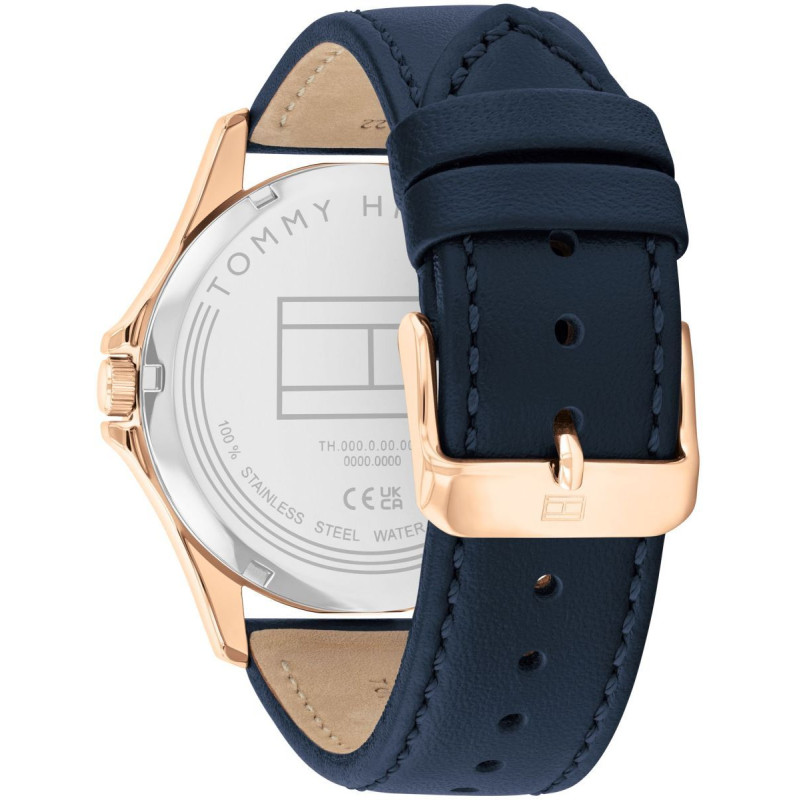 Zegarek męski Tommy Hilfiger Bruce 1792189