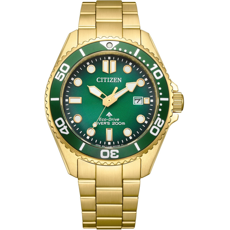 Zegarek męski Citizen Marine BN0262-59W