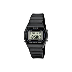 Zegarek Casio Sport ZB W-202-1AVEF